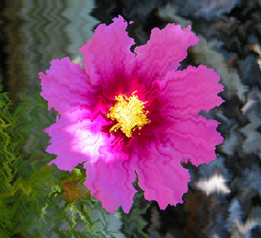 Abstract Flower Shaking In The Breeze Photograph By Mary Sedivy Fine