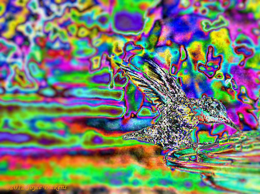 Abstract Hummer Feeding Photograph by Joyce Dickens