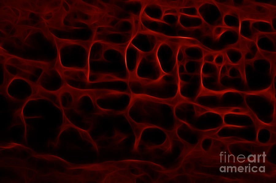 Abstract in Red and Black Photograph by Vivian Christopher