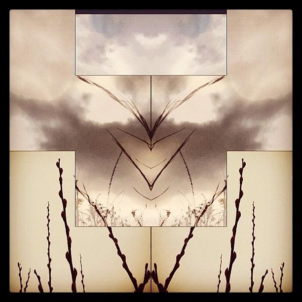 Abstract #mirrorgram For #shamgramaday Photograph by Vicki Willard