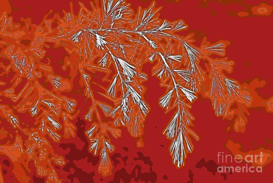 Abstract nature 6 Digital Art by Fran Woods