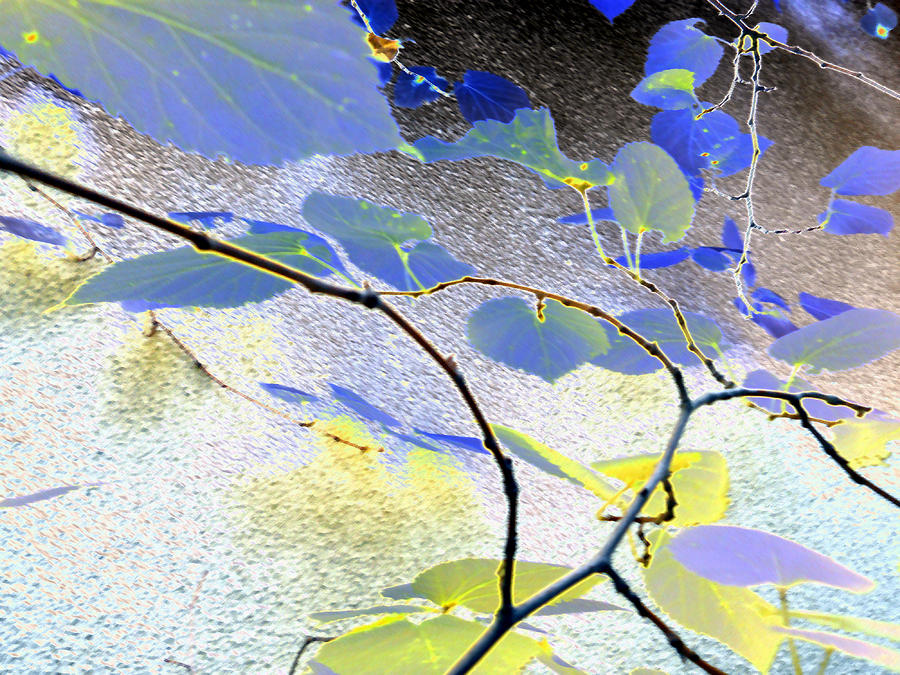 Abstract Of Blue Leaves Digital Art by Eric Forster