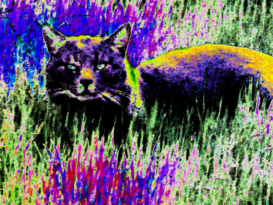 Abstract Of Tabby Digital Art by Eric Forster