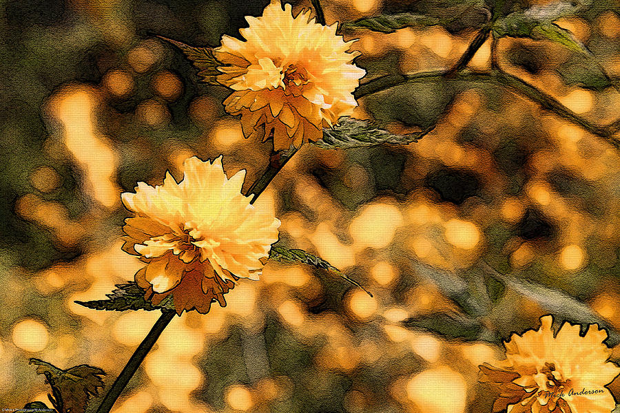 Abstract of Yellow Flowers Photograph by Mick Anderson