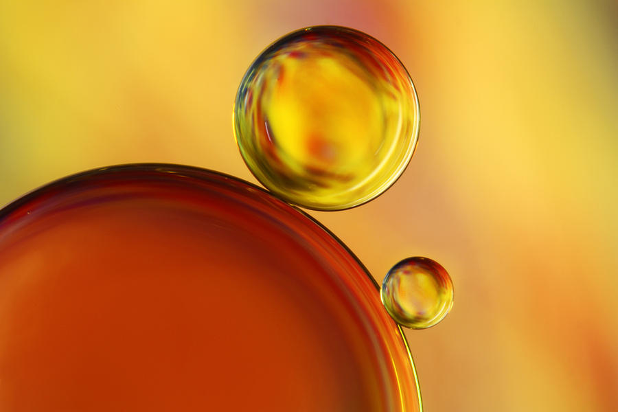 Abstract Oil Drops Photograph by Sharon Johnstone