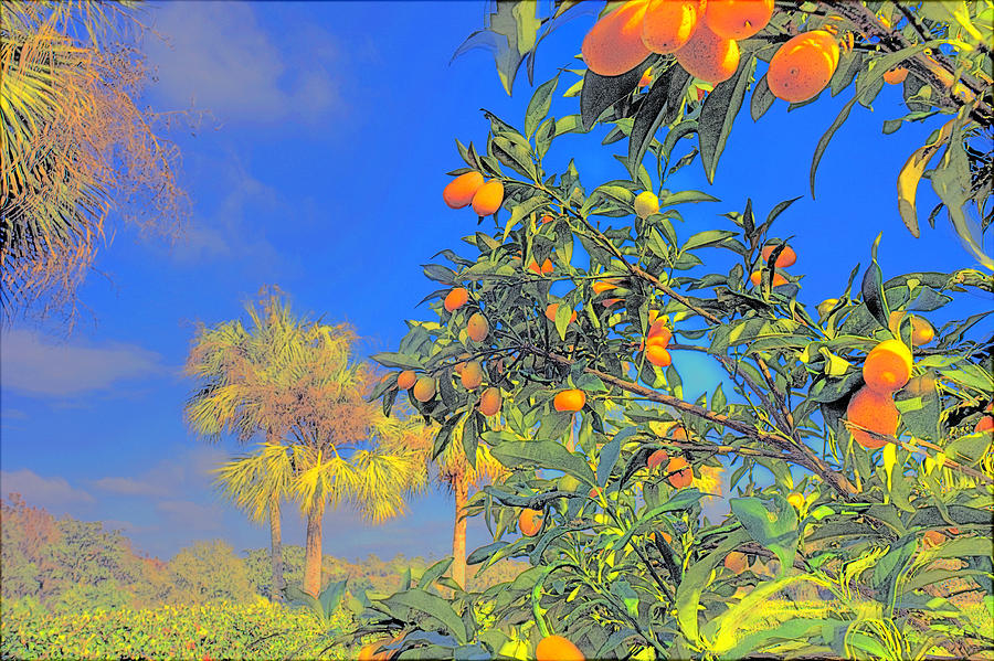 Abstract Orange Photograph by Ronald Spencer