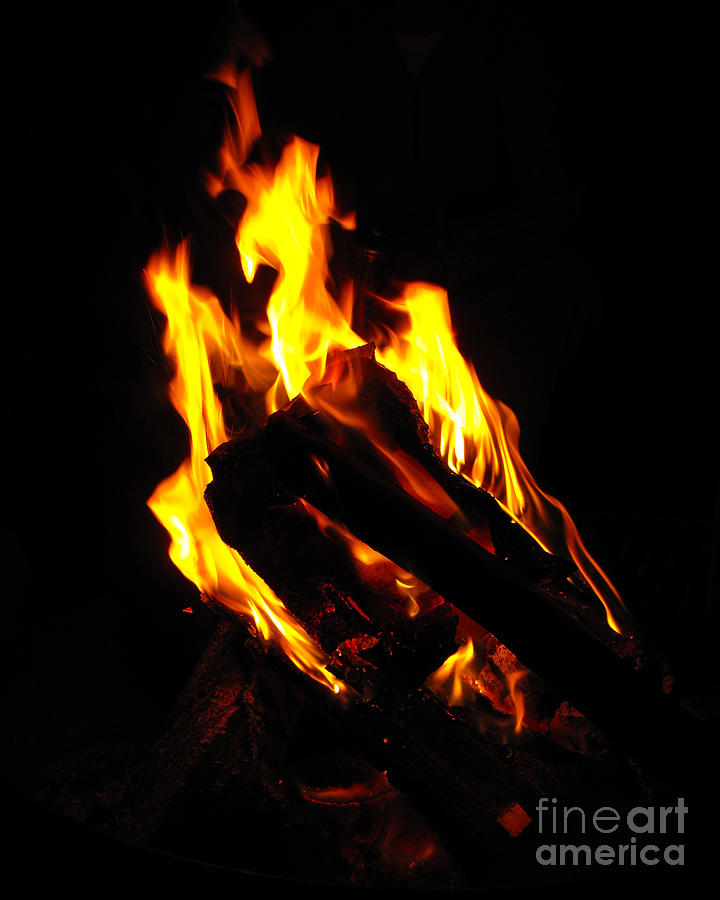 Phoenix Photograph - Abstract Phoenix fire by Rebecca Margraf