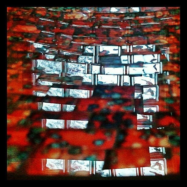 Abstract Photo In Red Photograph by Paul Todd