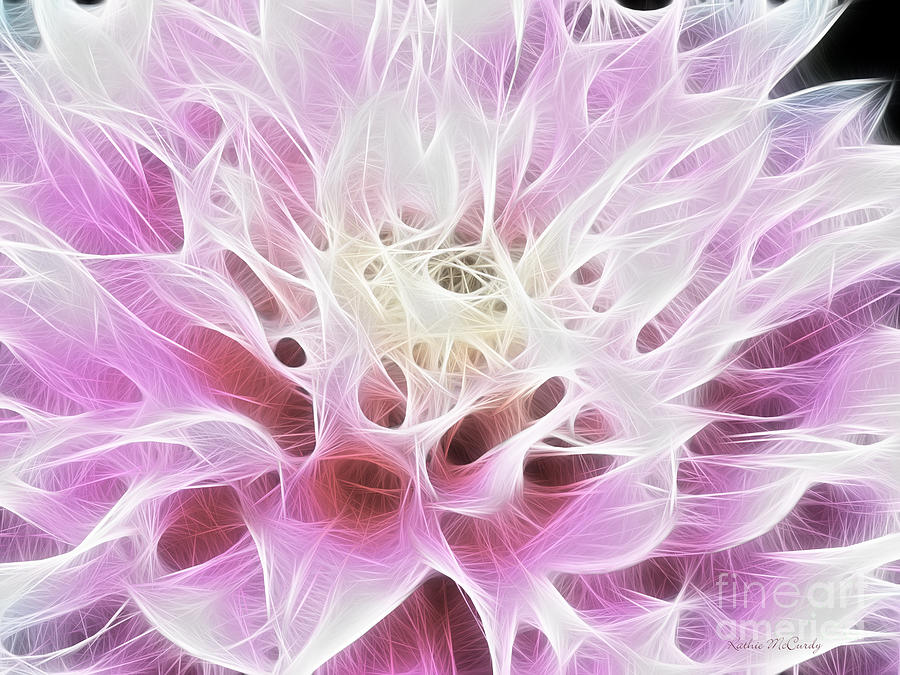 Abstract Pink Dahlia Photograph by Kathie McCurdy