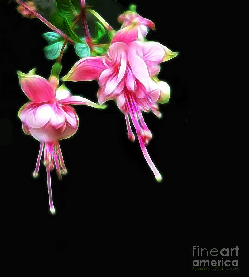 Abstract Pink Fuschia Photograph by Kathie McCurdy