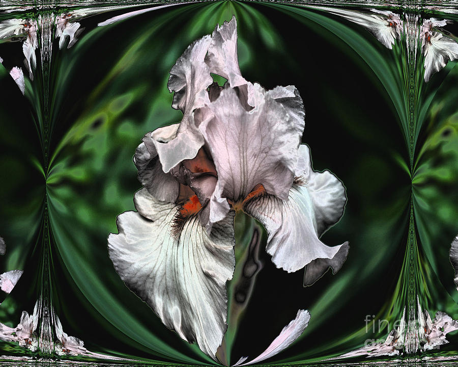 Abstract Pink Iris Digital Art by Smilin Eyes Treasures