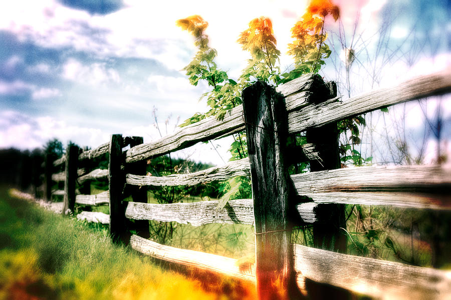 Abstract Rail Fence Painting by Dan Carmichael