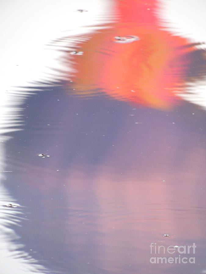 Abstract Reflection Photograph by Mariah Stone - Fine Art America