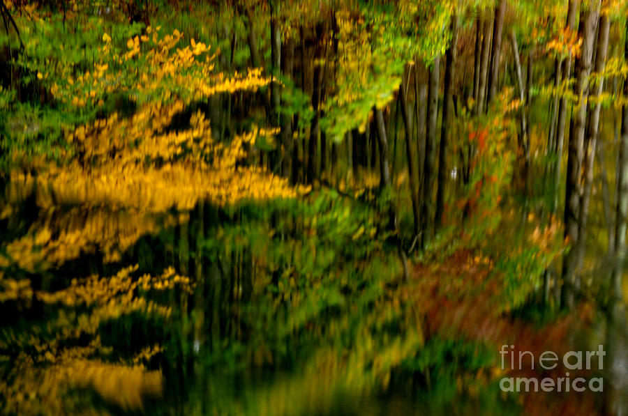 Abstract Reflections Photograph by Thomas R Fletcher