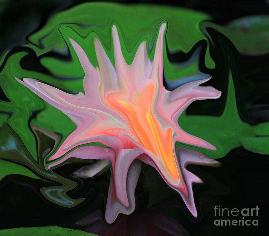Abstract Photograph - Abstract Waterlily by Robert Sander