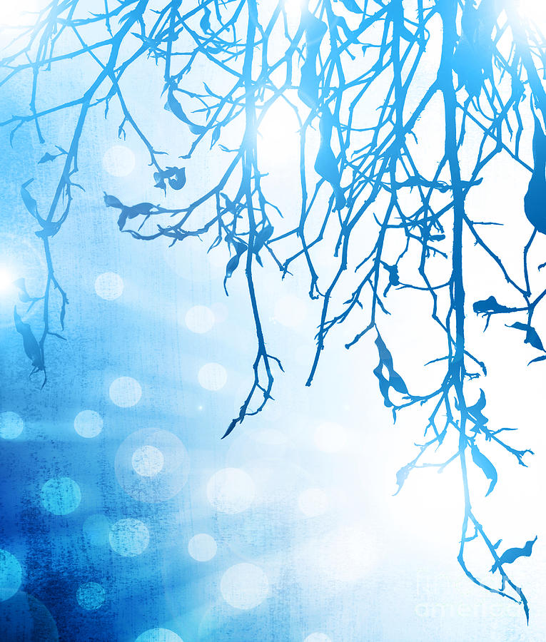 Abstract winter background Photograph by Anna Om