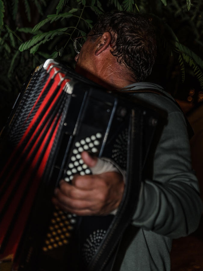 Accordionist Photograph by Michael Goyberg