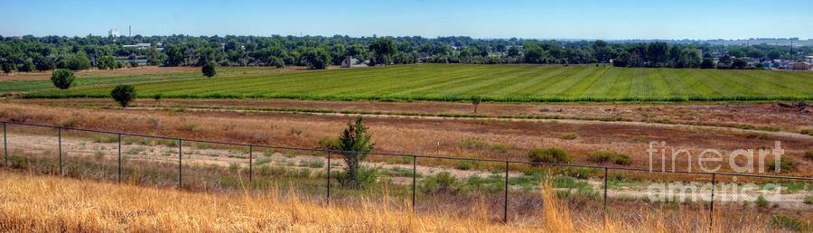 ACE Corn Field View Facing East Photograph by Harry Strharsky