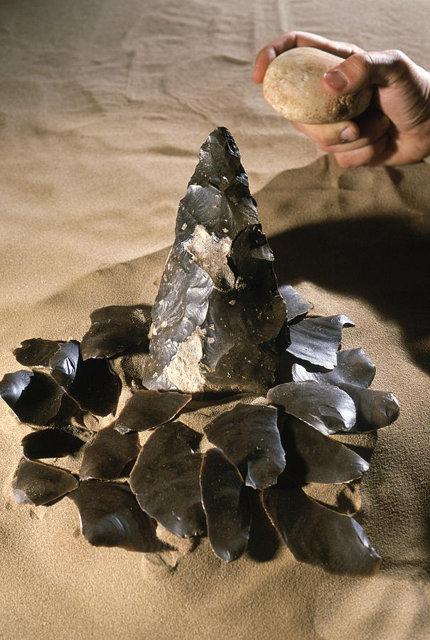 Acheulean Stone Tool Photograph by Javier Truebamsf Fine Art America