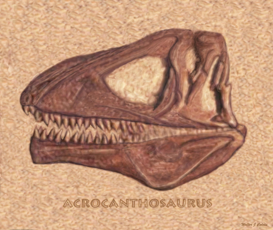 Acrocanthosaurus skull Fossil Large Digital Art by Walter Colvin