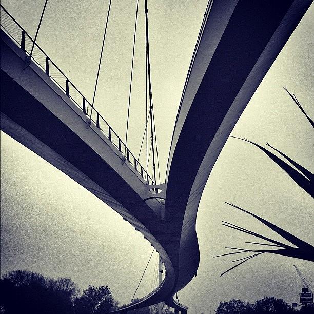 Bridge Photograph - Across. Have A Good Sunday! #bridge by Robbert Ter Weijden