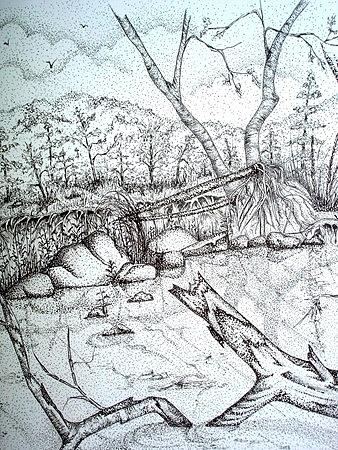 Across the Bank Drawing by Cristy Crites
