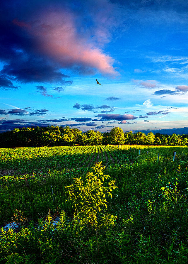 Across The Way Photograph by Phil Koch - Fine Art America