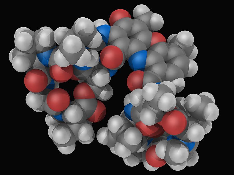 Actinomycin D Drug Molecule Digital Art by Laguna Design