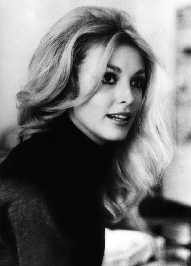 Actress Sharon Tate, 1943-1969, Who Photograph by Everett