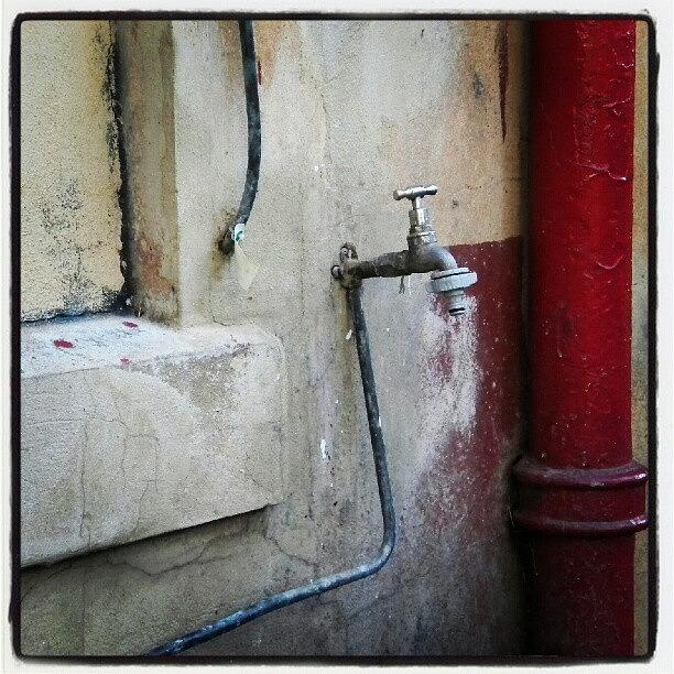 Still Life Photograph - Adelaide Tap by Mojo Photo