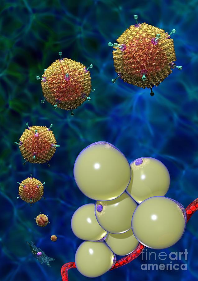 Adenovirus 36 and Fat Cells Digital Art by Russell Kightley