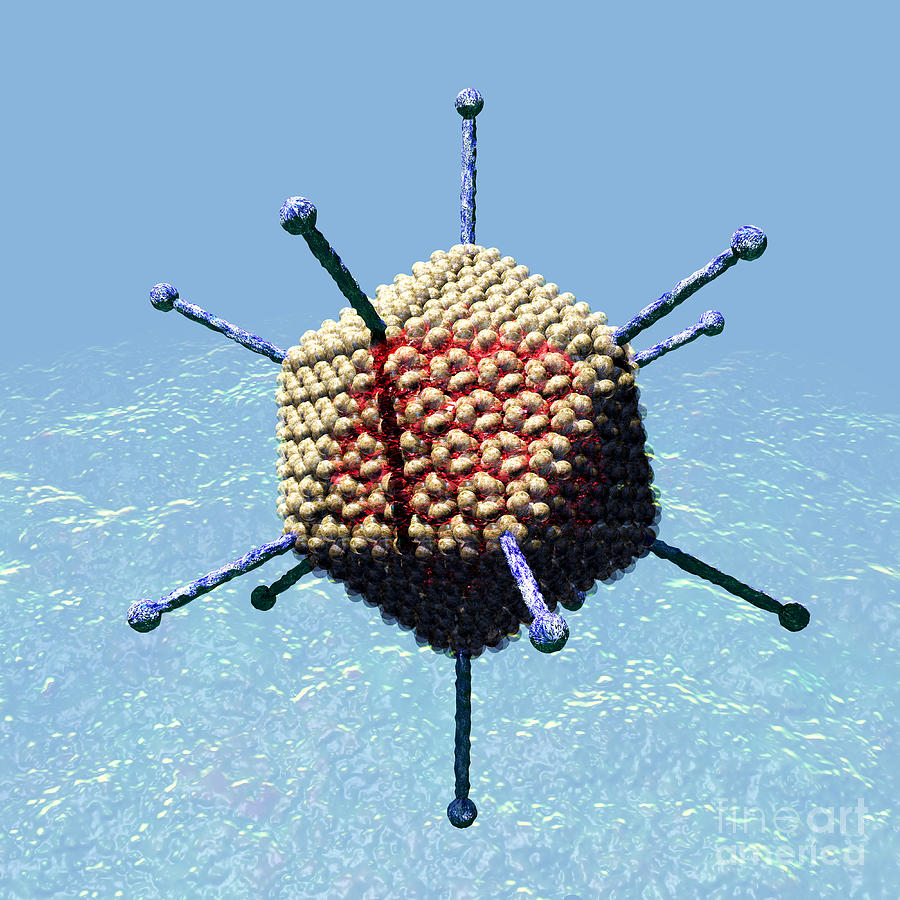 Adenovirus 7 Digital Art by Russell Kightley