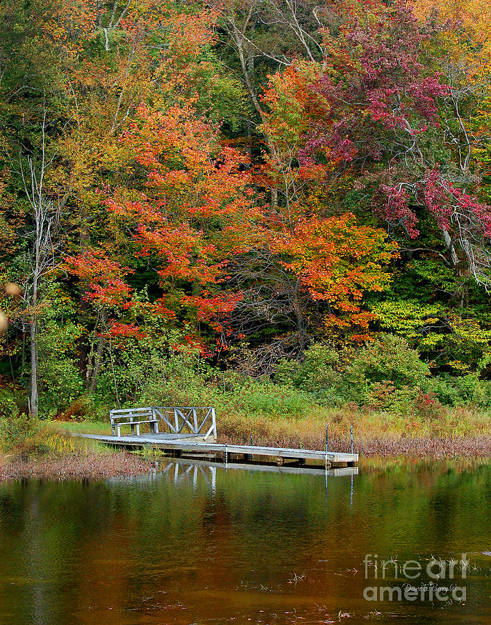 Adirondack Autumn 1 Photograph by Diane E Berry