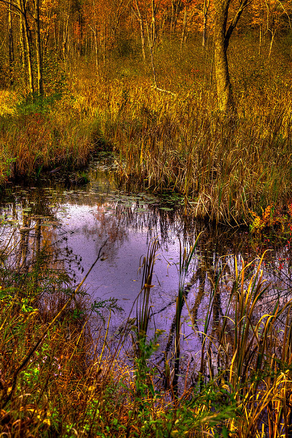 Adirondack Pond III Photograph by David Patterson