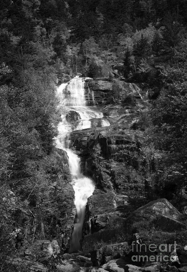 Adirondack Waterfall Photograph by David Waldrop