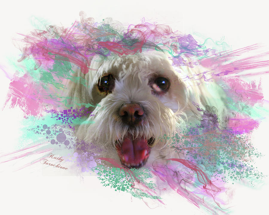 Dog Digital Art - Adopt Me by Kathy Tarochione