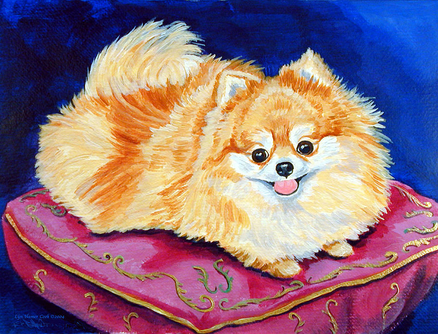 Animal Painting - Adoration - Pomeranian by Lyn Cook
