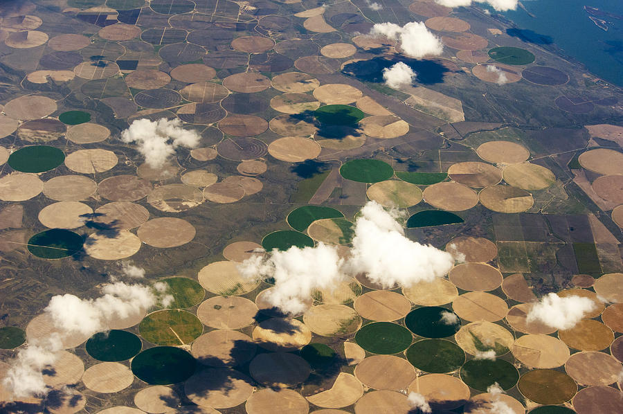 Aerial View Of Crop Irrigation Circles Photograph by Brian Stablyk