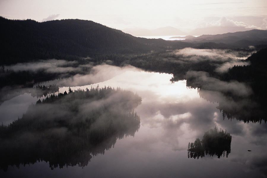 Aerial View Of Gokachin Lakes, Misty Photograph by Gerry Ellis