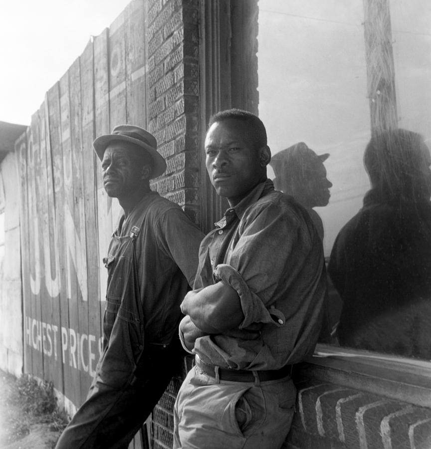 Memphis Photograph - African American Seasonal Cotton by Everett