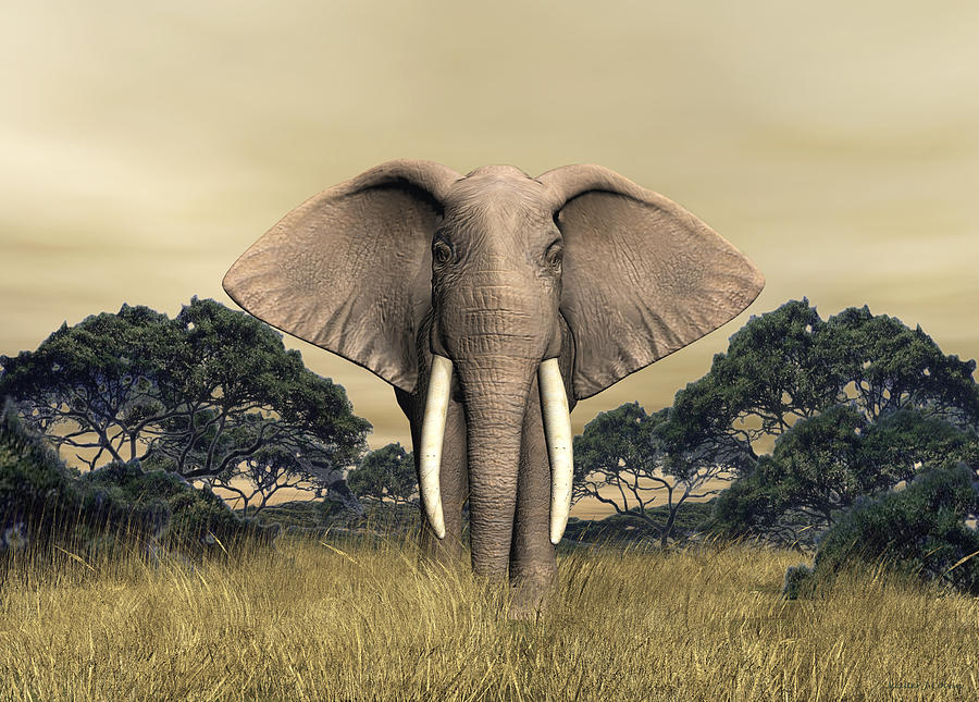 African Bull Elephant Digital Art by Walter Colvin