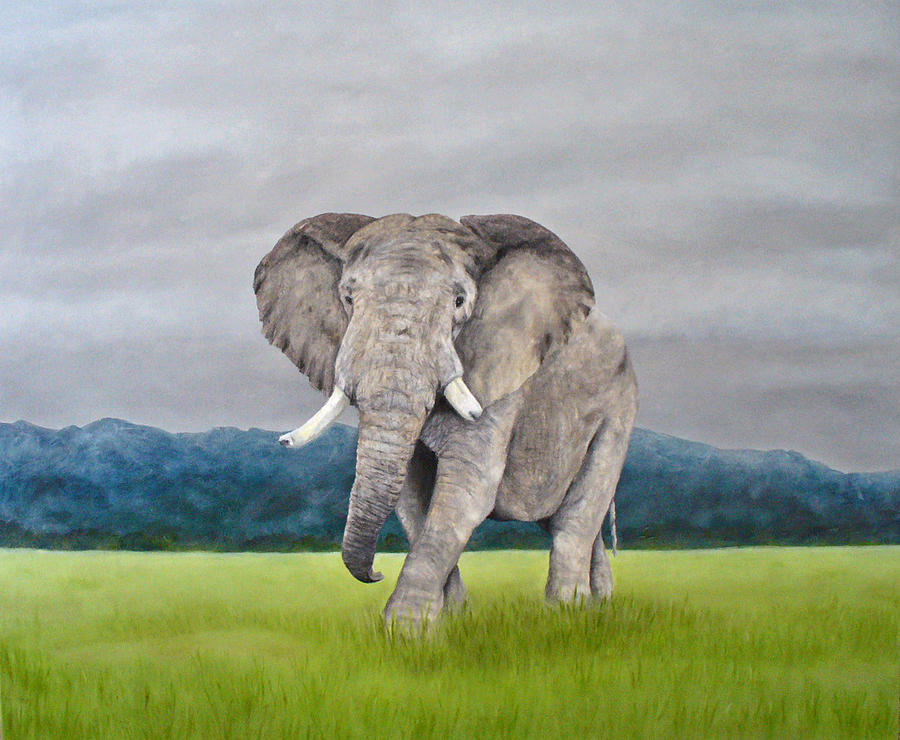 African Elephant Painting By Laura Savi