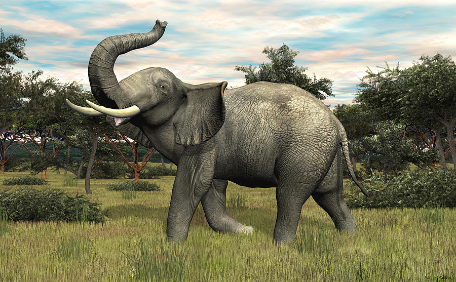 African Elephant Digital Art by Walter Colvin