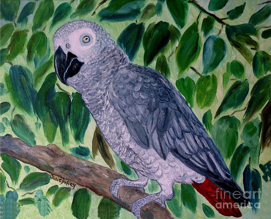 African Gray  Painting by Julie Brugh Riffey