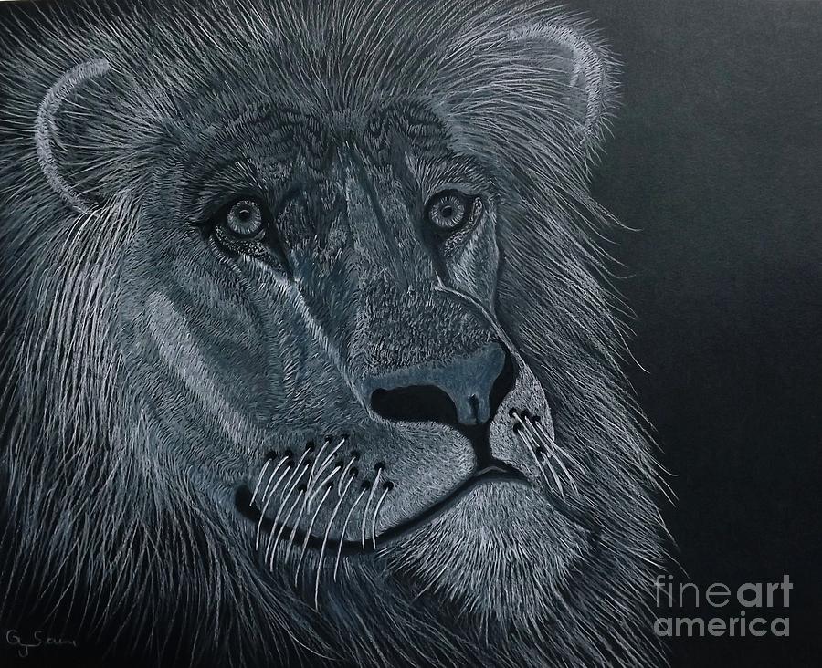 Wildlife Drawing - African King by Gerald Strine