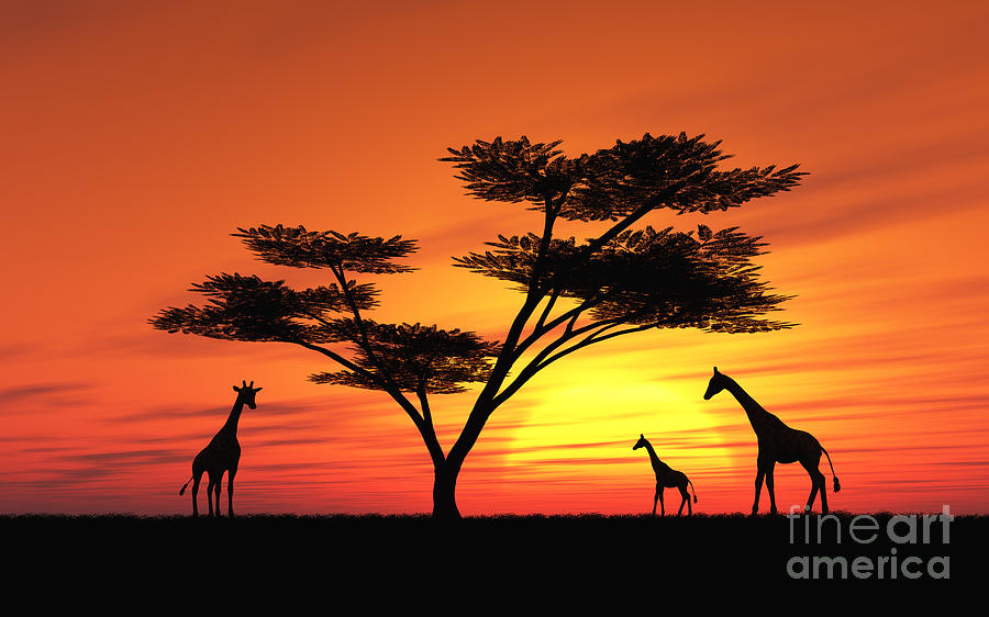 scenery draw digital to how Sunset Digital Kirschner by African Art Peter