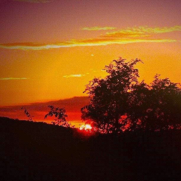 Sunset Photograph - African Sunset #picoftheday #instagram by Cara Lewis
