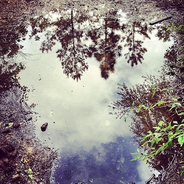 Instagram Photograph - After The #rain Last #friday #iphone by Joshua Waguespack