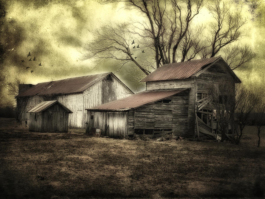 Barn Photograph - After the Storm by Mary Timman