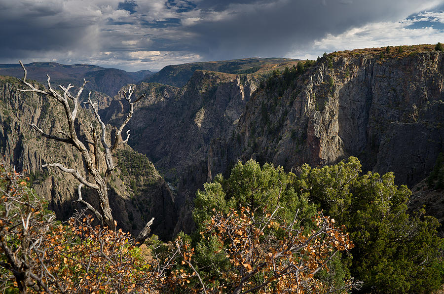 Afternoon Clouds over Black Canyon of the Gunnison Photograph by Greg Nyquist